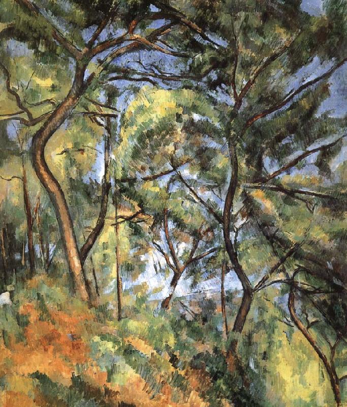 forest, Paul Cezanne